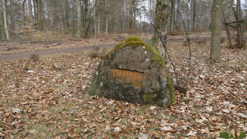 Ritterstein Nr. 104-03 Treffnix.JPG -  Ritterstein Nr.104  Treffnix                              